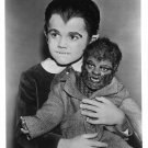 THE MUNSTERS (EDDIE) TV SHOW 5X7 Photo