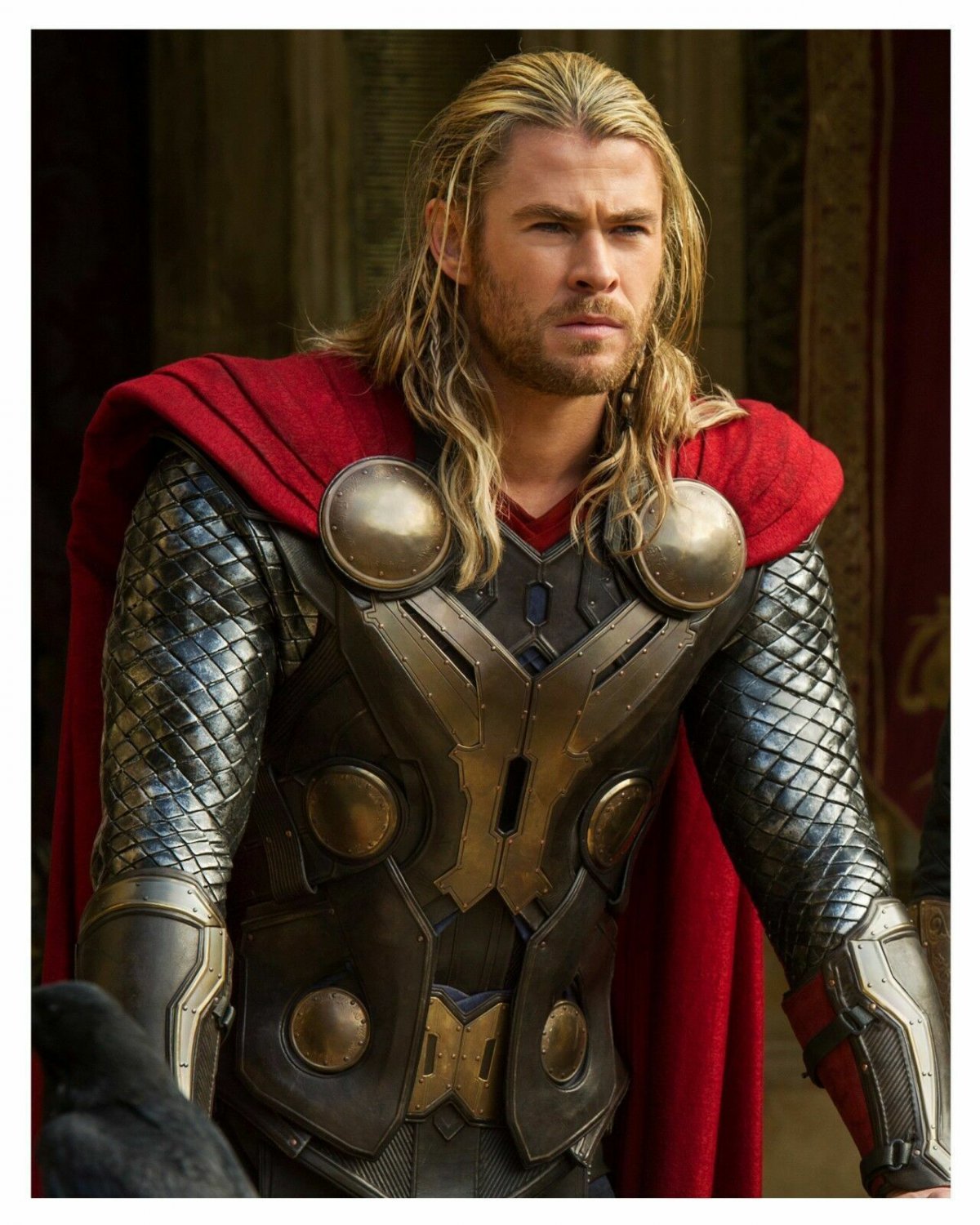 Thor Chris Hemsworth 5X7 Photo