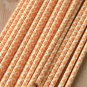 Orange Damask paper straws