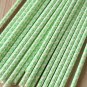 Light Green Damask paper straws