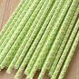 Lime Green Damask paper straws