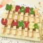 Colorful Alphabet Wood Pegs Letter Clips