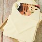 Ivory Magnolia plain C6 banker envelopes