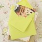Pistachio Green vintage series C6 banker envelopes