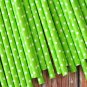 Solid Lime Green Swiss Dots paper straws