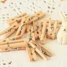 Plain Natural Mini Wood Pegs Clips
