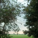 Websaler Photos
