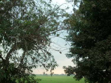 Websaler Photos