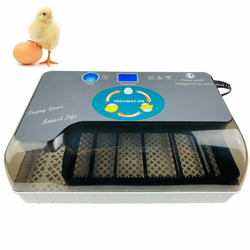 Digital Egg Incubator Automatic Egg Hatcher Automatic Turning 12 Eggs Chicken