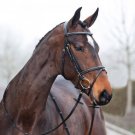 Horze Constance Snaffle Bridle - Size:Pony Color:Lt Brown