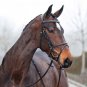 Horze Constance Snaffle Bridle - Size:Pony Color:Lt Brown