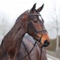 Horze Constance Snaffle Bridle - Size:Pony Color:Lt Brown