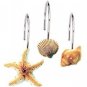 Seashell Shower Curtain Hooks Bathroom Beach Shell Decor (Set Of 12)