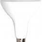LED BR40 100 Watt Equivalent Dimmable 17 Watt Light Bulb Warm White