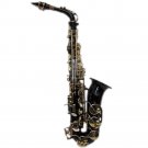 HOLIDAY SALE Black/Gold Alto Saxophone w Wonderful Versatile Case *GREAT GIFT*