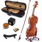Mastero Sound 4/4 Size New VN431 Bird Eye Maple Violin Kit w Case Bow Rosin Mute