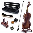 Soloist Series Violin VN501 Mastero Level 4/4 Size Antique Style Professional