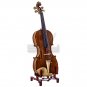 High Quality SKYVN634 Full Size Hand Carved Artist Violin Antique Style