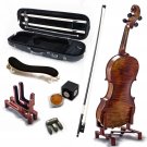 SKY 4/4 Size VN521 Violin Euro Performer Series for Professional Antique Style