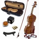4/4 Antique Style Professional Handmade VN403 Violin Kit w Case Bow Rosin Mute 