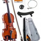 New 4/4 Full Size Acoustic Maple Violin w Ebony Parts Case Bow Rosin String Mute