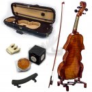 High Quality SKYVN681 Full Size Hand Carved Professional Artist Violin