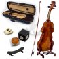 High Quality SKYVN681 Full Size Hand Carved Professional Artist Violin