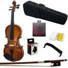 Paititi Artist-100 Violin Starter Kit with Brazilwood Bow Lightweight Case