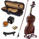 4/4 Antique Style Professional Handmade VN421 Violin Kit w Case Bow Rosin Mute 