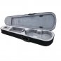 New Solid Wood Intermediate 4/4 Violin VN301 w Case Bow Rosin String