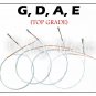 Paititi String Steel Core German Made Premium Quality String Set 4/4 Size Violin