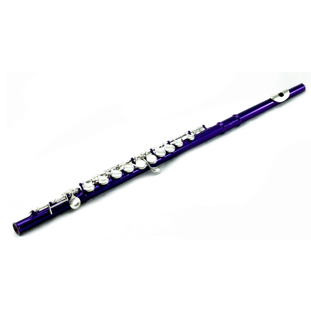 **BIG SAVING** SKY Purple/Silver Close Hole Flute 2016 Model *GREAT GIFT*