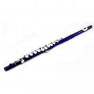 **BIG SAVING** SKY Purple/Silver Close Hole Flute 2016 Model *GREAT GIFT*