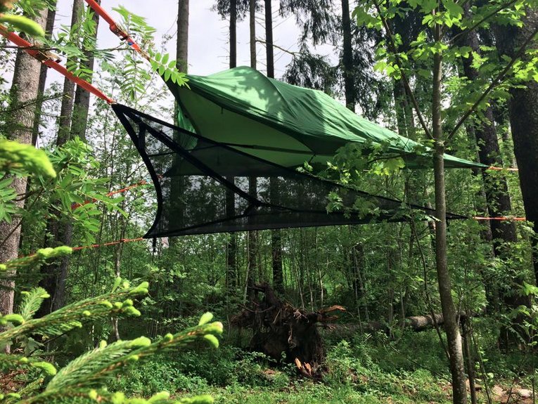 Forest green TENTSILE STINGRAY TREE TENT