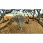 Forest green TENTSILE STINGRAY TREE TENT