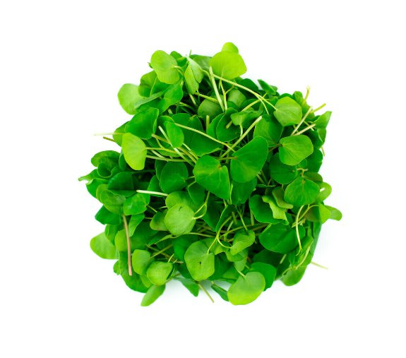 Buck Wheat Baby Leaves Microgreens Vegetable 900 UK Seeds