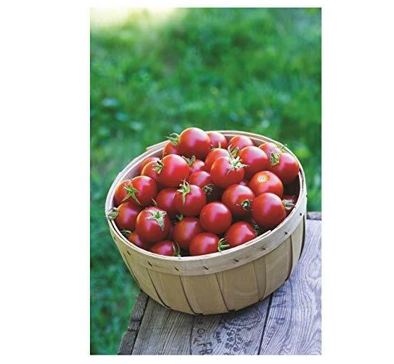 Tomato Cherry Baby Boomer Vegetable Garden 5 GB Seeds