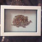 HEDGEHOG mixed media picture