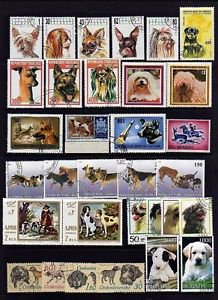 DOGS - POODLE - COLLIE - TERRIER - DOMESTIC +++ 62 DIFFERENT - CTO NH STAMPS!