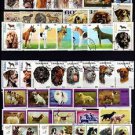 DOGS - SHEPERD - BEAGLE - COLLIE - HUNTING +++ 67 DIFFERENT - CTO NH STAMPS!