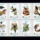 AJMAN - 1971 - BIRDS - PHEASANT - MAGPIE - CUCKOO ++ 8 X MINT - MNH BLOCK!