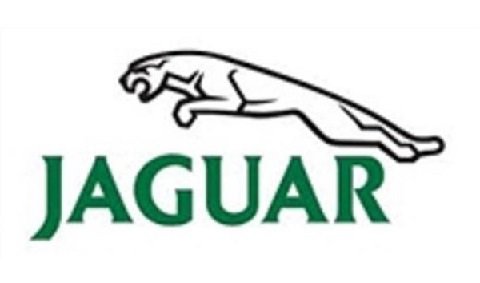 JAGUAR FLAG White, 3'x5' Flag banner cloth poster FLAG