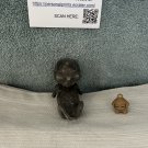 Baby Alien Embryo — Weird, Fun & Impossible to Ignore