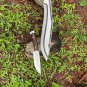 Gurkha Using Hunting Kukri Knife | Full Tang kukri knife with sheath | Sharp