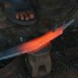 Gurkha Kukri Knife/knives 13" Sirupate Khukuri- Authentic Hand Forged Blade,EGKH
