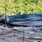 15 inch Blade D-Guard Old War Bowie Knife-Hand forged Bowie knife-Tempered-sharp