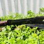 EGKH-15 Inches Field and Camping Tactical Machete for Clearing Brush, Full Tang