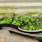 25 inches Hand forged Long Khopesh Sword-Egyptian Khopesh Sword-forged Kopis