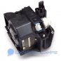 ScreenPlay SP5000 3LCD Replacement Lamp for Infocus Projectors SP-LAMP-017