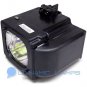 BP96-01653A Replacement Samsung TV Lamp